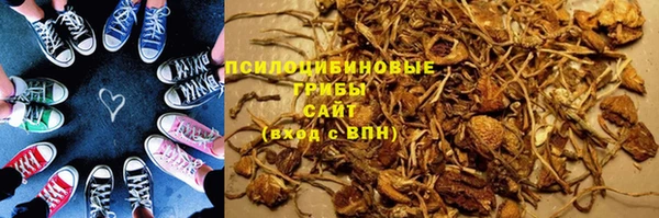 ПСИЛОЦИБИНОВЫЕ ГРИБЫ Волоколамск