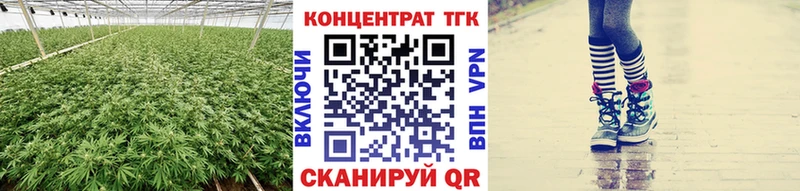 ТГК концентрат  цены   Новоржев 