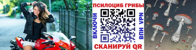 Псилоцибиновые грибы Psilocybe  сколько стоит  Новоржев 